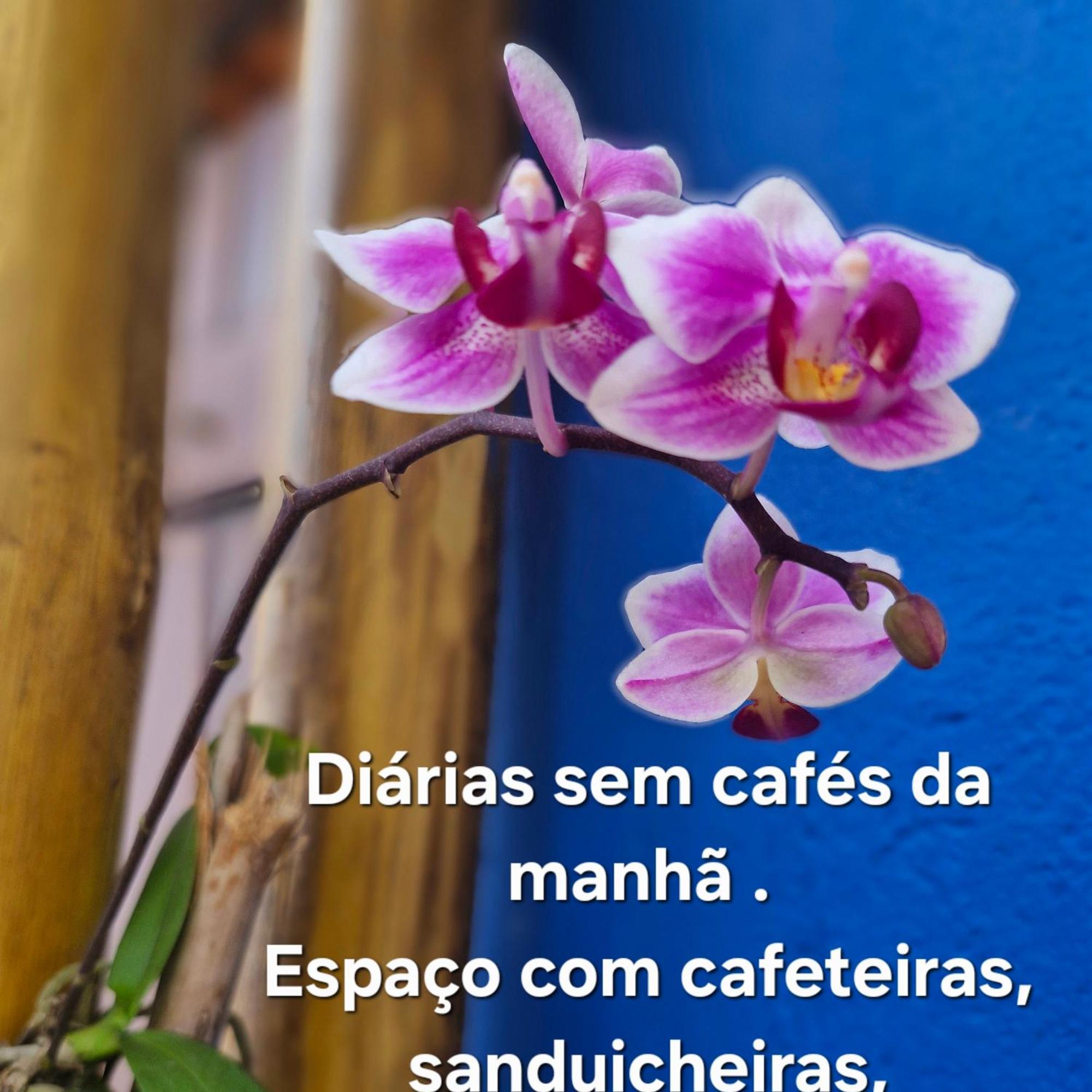 A Ver O Mar Suites Cocanha Caraguatatuba Eksteriør billede